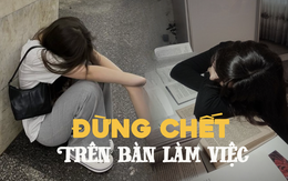 "Bán mạng" làm việc ở tập đoàn hàng đầu, bị đối xử ở mức hạng bét