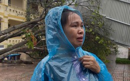 Những mái trường thương tổn và nỗi đau của "người cầm lái"