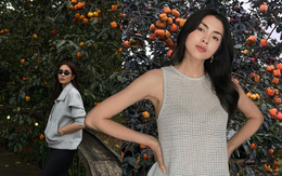 Ở Đà Lạt có một quán cà phê khiến Tăng Thanh Hà “phải lòng”: Hồng sai rợp trời, đẹp như một giấc mộng