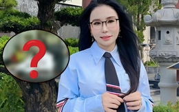 Hình ảnh khó hiểu của Mailisa giữa lúc hàng chục cơ sở bị khám xét