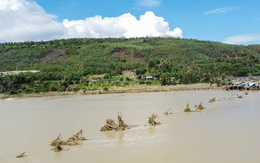 Cầu gỗ vượt sông dài nhất Việt Nam biến mất sau bão số 13: Lịch sử gần 30 năm, từng lên phim điện ảnh