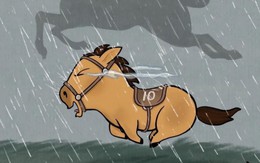 Chú ngựa Mã Tiểu Dã "vừa chạy vừa khóc" đang hot tung nóc ở đâu ra vậy?