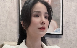 Diệp Lâm Anh xin lỗi