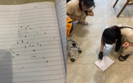 Sốc: 60 con chấy bò ra từ mái tóc của "girl phố" 2k4, tiệm gội đầu phải tổng vệ sinh sau khi tiễn khách