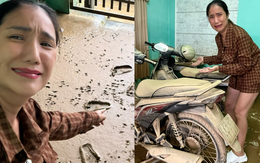 Hãi hùng cảnh tượng nhà sao Vbiz tan hoang, đầy bùn đất sau khi cơn bão 13 càn quét qua