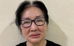 Đề nghị truy tố bà Nguyễn Thị Như Loan, Tổng Giám đốc Quốc Cường Gia Lai