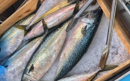 Top 5 loại cá chứa nhiều thủy ngân bậc nhất