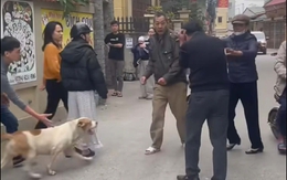 Vụ thả chó cắn người nhập viện ở Hà Nội: Nạn nhân kể chi tiết