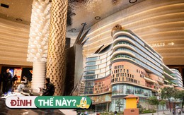 TTTM Hanoi Centre vừa ra mắt Hà Nội: Không gian sang như khách sạn 5 sao, kỳ công bảo tồn cây đa giữa khuôn viên