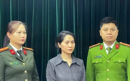 Khởi tố giám đốc công ty tổ chức chương trình 'Về đây bốn cánh chim trời'