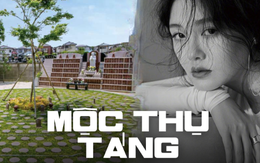 Mộc thụ táng - Hình thức chôn cất theo di nguyện của Từ Hy Viên được thực hiện như thế nào?