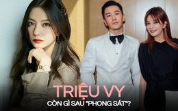 Triệu Vy còn gì sau cú "gãy cánh" bí ẩn nhất lịch sử showbiz Hoa ngữ?