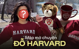 Từ chuyện 1 Á hậu khoe vào Harvard: Sự phóng đại như khoản vay ngắn hạn, được chú ý ngay lập tức rồi trả giá đắt