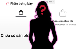 Những ai bị phát hiện âm thầm gỡ bỏ giỏ hàng, "ở ẩn" sau thời gian kiếm bộn tiền nhờ livestream, quảng cáo?
