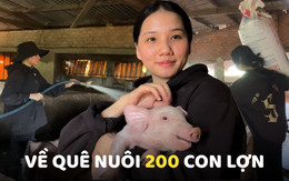 Gen Z rời TP.HCM về quê nuôi 200 con lợn