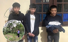 Rùng mình lời khai của 3 kẻ cướp tài sản, xâm hại 2 thiếu nữ đi du lịch tại Tam Đảo