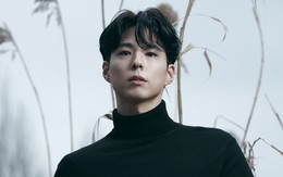 Nước đi sai lầm của Park Bo Gum