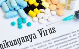Chikungunya bùng phát ở nhiều nước, Bộ Y tế đưa ra khuyến cáo cho người dân phòng dịch Chikungunya