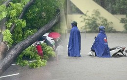 Hà Nội đang ngập khủng khiếp, cây gãy đổ chắn ngang đường