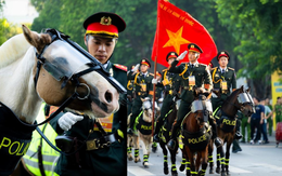 “Út Ngáo” tái xuất cùng dàn chiến mã quanh hồ Hoàn Kiếm: Đã trưởng thành thấy rõ!