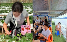 "Mẹ vung 100 triệu mua nệm rởm nhưng đay nghiến con vì ly nước 30k”, chuyện du lịch cùng gia đình khiến giới trẻ khóc ròng mùa Tết