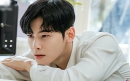 Hết cứu Cha Eun Woo: Quảng cáo lần lượt "bay màu", nguy cơ bị cấm cửa vĩnh viễn khỏi showbiz Hàn