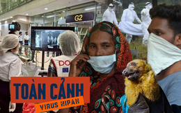 Toàn cảnh virus Nipah: Mối đe dọa âm ỉ khiến thế giới luôn trong trạng thái báo động