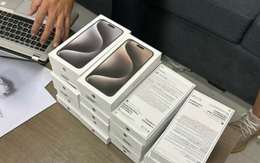 Hải quan thanh lý hàng nghìn chiếc iPhone là tang vật vi phạm hành chính, giá trung bình 800.000 đồng/chiếc