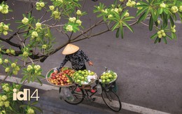 Trả hoa sữa về đúng "khoảng cách lãng mạn": Vừa đủ nhớ, vừa đủ… thở