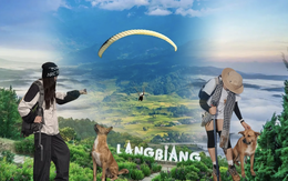"Hướng dẫn viên" ở Đà Lạt được du khách lập hẳn địa danh riêng trên Google Maps dù chưa từng nhận một đồng lương