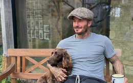 David Beckham lại "hái ra tiền"