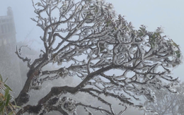 Miền Bắc đón đợt không khí lạnh mạnh bao phủ, khi nào rét đậm đạt đỉnh?