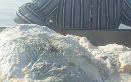 Đánh cá trên biển, 3 ngư dân vớt được thứ trị giá 67 tỷ đồng