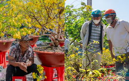 Trưa 29 Tết: Tiểu thương bán vội, khách mua nhanh, chợ hoa TP.HCM nhộn nhịp phút cuối