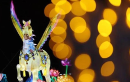 TRỰC TIẾP: Cả châu Á rộn ràng đón Tết Bính Ngọ 2026 gần kề: Không khí khắp nơi đã rộn ràng lắm rồi!