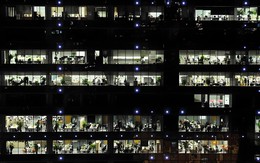 Top 4 ngôn ngữ ít người học nhưng cơ hội việc làm cao, AI khuyên nên tham khảo ngay