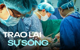 Ca ghép tạng domino đầu tiên tại Việt Nam: Hé lộ quy trình thực hiện và phân cảnh khiến nhiều người rơi nước mắt