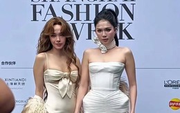 Kiếp nạn cam thường của Minh Hằng và Ngọc Trinh