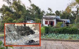 Vụ nhiều thi thể trong căn nhà cấp 4: Xác định danh tính nạn nhân, có 2 học sinh lớp 9