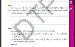 Sách bài tập tin học lớp 3 in "website đen": Thu hồi, dừng phát hành