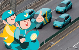 Xanh SM chính thức đổi tên thành Green SM: Vì sao trông rất "blue" mà lại dùng "green"?