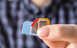 Cách kiểm tra thuê bao chính chủ bằng tin nhắn và VNeID