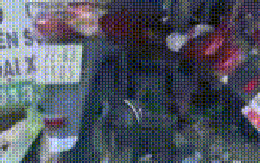 CLIP: Cabin bị sụp, xe tải mất lái tông vào nhiều phương tiện ven đường