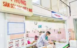 TP.HCM: Bánh flan và canh bắp cải khiến 266 học sinh tiểu học ngộ độc