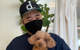 Nam nghệ sĩ, rapper có tiếng vừa qua đời tối nay vì u não ác tính tiến triển cực nhanh