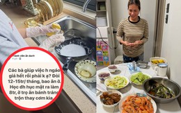 "Các bà giúp việc ngáo giá phải không ạ? Đòi 12 - 15 triệu bao ăn ở trong khi đại học ra đi làm lương 8 triệu"