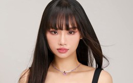 Tại sao Miu Lê không bị khởi tố?