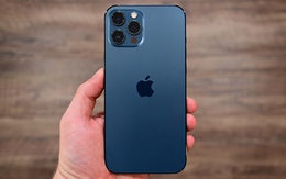 5 chiếc iPhone cũ rớt giá mạnh, đáng mua nhất ngay lúc này