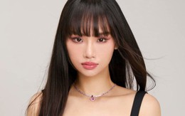 Vì sao Miu Lê bị khởi tố?