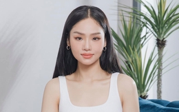Công ty quản lý loại bỏ Miu Lê